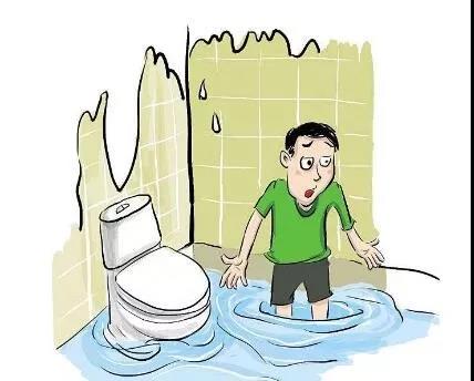 装修，为什么选择三叶石装饰？