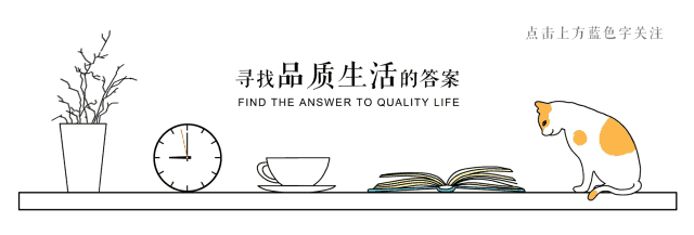 墙纸发霉怎么处理 如何预防墙纸发霉